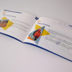booklet brochure 1